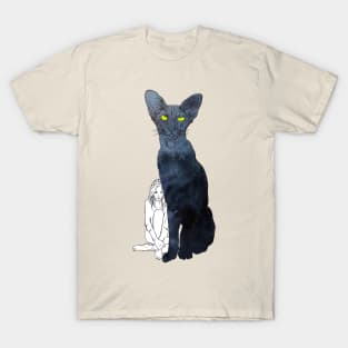 Girl and Cat 3 T-Shirt